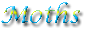 Moths