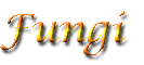 Fungi